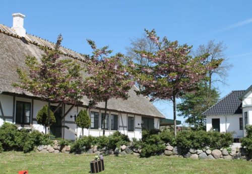 Bindingsværket er bevaret i Mårums præstegård