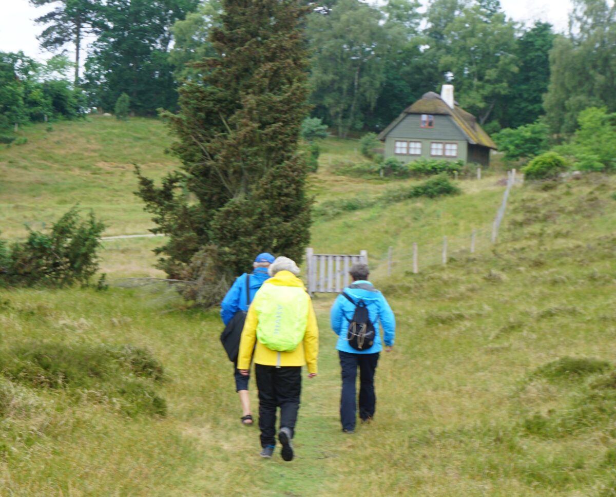 Træningsture